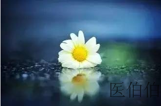 文章附圖